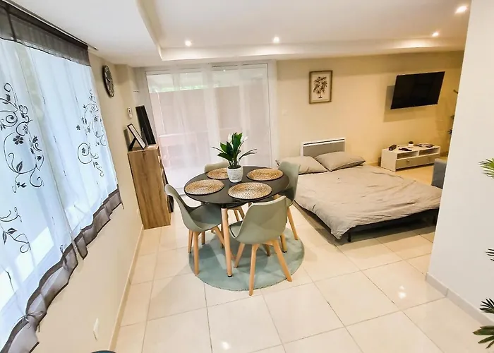 Apartment Le Petit Rocher 30m2- Standing 3 Etoiles Saint-Aignan-Grand-Lieu