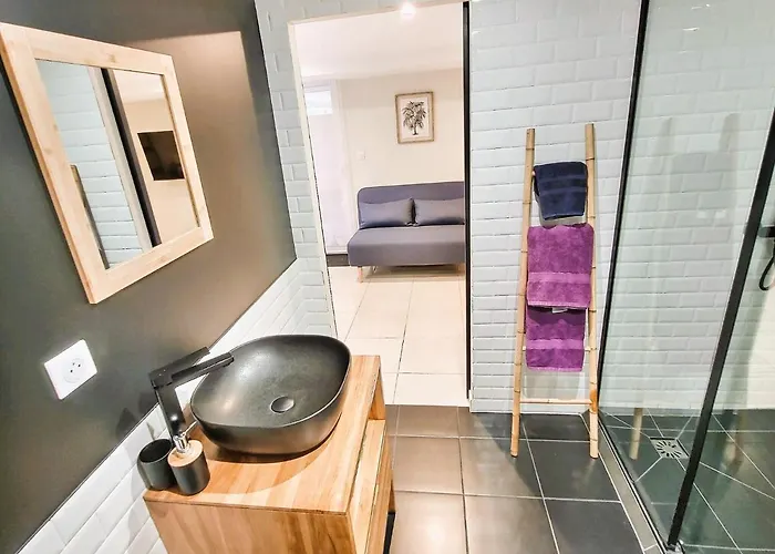 Le Petit Rocher 30m2- Standing 3 Etoiles Apartment Saint-Aignan-Grand-Lieu